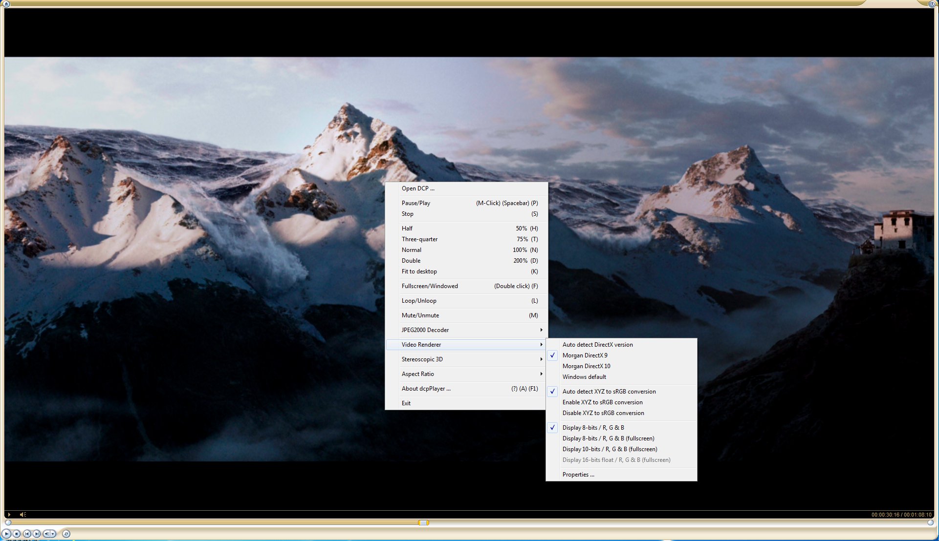 Video Renderer Options